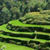 Bedugul Town House