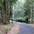 Bedugul Town House